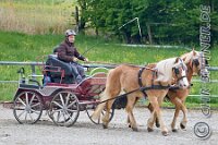 111 A DB 0481    © Daniela und Christian Bittner u.a.    Alle Inhalte auf diesen Webseiten sind urheberrechtlich geschützt. Kein Teil der hier abrufbaren Inhalte darf ohne ausdrückliche schriftliche Erlaubnis des Fotografen reproduziert, gedruckt, übersetzt, in digitaler Form weiterbearbeitet, in Archive übernommen oder Dritten unter einer fremden URL zugänglich gemacht werden.   Fotografen: AE .. A. Esdar, AH .. A. Helmle, CB .. Chr. Bittner, DB .. D. Bittner, LB .. L. Bittner, BB .. B. Boschatzke,   HZ .. H. Ziegelbauer, IM .. I. Maierhöfer, KH .. K. Hauber, LE .. L. Esdar, ME .. M. Esdar, MEr .. M. Erhard,   RM .. R. Maierhöfer, SD .. S. Demchuk, TS .. T. Spaag-Wagner, UL .. U. Ladenburger, JW .. J. Wecker, EB .. E. Boschatzke,   JA .. J. Abele, MW .. Maria Walter, MB .. Manuel Bühler, GG .. Georg Gösele, CBa .. Christoph Bayrle, KZW .. Kathrin Zwerger, PG .. Peter Gösele, CME .. Carmen Müller-Epacher, GB .. Gebhard Bühler, AL .. Alisha Ladenburger, SV .. Susanne Habel-Veit, LV .. Lukas Veit.