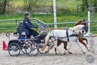 124 A DB 0586    © Daniela und Christian Bittner u.a.    Alle Inhalte auf diesen Webseiten sind urheberrechtlich geschützt. Kein Teil der hier abrufbaren Inhalte darf ohne ausdrückliche schriftliche Erlaubnis des Fotografen reproduziert, gedruckt, übersetzt, in digitaler Form weiterbearbeitet, in Archive übernommen oder Dritten unter einer fremden URL zugänglich gemacht werden.   Fotografen: AE .. A. Esdar, AH .. A. Helmle, CB .. Chr. Bittner, DB .. D. Bittner, LB .. L. Bittner, BB .. B. Boschatzke,   HZ .. H. Ziegelbauer, IM .. I. Maierhöfer, KH .. K. Hauber, LE .. L. Esdar, ME .. M. Esdar, MEr .. M. Erhard,   RM .. R. Maierhöfer, SD .. S. Demchuk, TS .. T. Spaag-Wagner, UL .. U. Ladenburger, JW .. J. Wecker, EB .. E. Boschatzke,   JA .. J. Abele, MW .. Maria Walter, MB .. Manuel Bühler, GG .. Georg Gösele, CBa .. Christoph Bayrle, KZW .. Kathrin Zwerger, PG .. Peter Gösele, CME .. Carmen Müller-Epacher, GB .. Gebhard Bühler, AL .. Alisha Ladenburger, SV .. Susanne Habel-Veit, LV .. Lukas Veit.