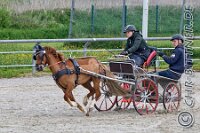 149 A DB 0684    © Daniela und Christian Bittner u.a.    Alle Inhalte auf diesen Webseiten sind urheberrechtlich geschützt. Kein Teil der hier abrufbaren Inhalte darf ohne ausdrückliche schriftliche Erlaubnis des Fotografen reproduziert, gedruckt, übersetzt, in digitaler Form weiterbearbeitet, in Archive übernommen oder Dritten unter einer fremden URL zugänglich gemacht werden.   Fotografen: AE .. A. Esdar, AH .. A. Helmle, CB .. Chr. Bittner, DB .. D. Bittner, LB .. L. Bittner, BB .. B. Boschatzke,   HZ .. H. Ziegelbauer, IM .. I. Maierhöfer, KH .. K. Hauber, LE .. L. Esdar, ME .. M. Esdar, MEr .. M. Erhard,   RM .. R. Maierhöfer, SD .. S. Demchuk, TS .. T. Spaag-Wagner, UL .. U. Ladenburger, JW .. J. Wecker, EB .. E. Boschatzke,   JA .. J. Abele, MW .. Maria Walter, MB .. Manuel Bühler, GG .. Georg Gösele, CBa .. Christoph Bayrle, KZW .. Kathrin Zwerger, PG .. Peter Gösele, CME .. Carmen Müller-Epacher, GB .. Gebhard Bühler, AL .. Alisha Ladenburger, SV .. Susanne Habel-Veit, LV .. Lukas Veit.