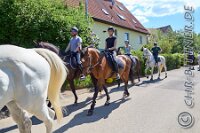 064 A DB 0178    © Daniela und Christian Bittner u.a.    Alle Inhalte auf diesen Webseiten sind urheberrechtlich geschützt. Kein Teil der hier abrufbaren Inhalte darf ohne ausdrückliche schriftliche Erlaubnis des Fotografen reproduziert, gedruckt, übersetzt, in digitaler Form weiterbearbeitet, in Archive übernommen oder Dritten unter einer fremden URL zugänglich gemacht werden.   Fotografen: AE .. A. Esdar, AH .. A. Helmle, CB .. Chr. Bittner, DB .. D. Bittner, LB .. L. Bittner, BB .. B. Boschatzke,   HZ .. H. Ziegelbauer, IM .. I. Maierhöfer, KH .. K. Hauber, LE .. L. Esdar, ME .. M. Esdar, MEr .. M. Erhard,   RM .. R. Maierhöfer, SD .. S. Demchuk, TS .. T. Spaag-Wagner, UL .. U. Ladenburger, JW .. J. Wecker, EB .. E. Boschatzke,   JA .. J. Abele, MW .. Maria Walter, MB .. Manuel Bühler, GG .. Georg Gösele, CBa .. Christoph Bayrle, KZW .. Kathrin Zwerger, PG .. Peter Gösele, CME .. Carmen Müller-Epacher, GB .. Gebhard Bühler, AL .. Alisha Ladenburger, SV .. Susanne Habel-Veit, LV .. Lukas Veit.