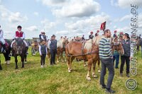 088 A DB 251    © Daniela und Christian Bittner u.a.    Alle Inhalte auf diesen Webseiten sind urheberrechtlich geschützt. Kein Teil der hier abrufbaren Inhalte darf ohne ausdrückliche schriftliche Erlaubnis des Fotografen reproduziert, gedruckt, übersetzt, in digitaler Form weiterbearbeitet, in Archive übernommen oder Dritten unter einer fremden URL zugänglich gemacht werden.   Fotografen: AE .. A. Esdar, AH .. A. Helmle, CB .. Chr. Bittner, DB .. D. Bittner, LB .. L. Bittner, BB .. B. Boschatzke,   HZ .. H. Ziegelbauer, IM .. I. Maierhöfer, KH .. K. Hauber, LE .. L. Esdar, ME .. M. Esdar, MEr .. M. Erhard,   RM .. R. Maierhöfer, SD .. S. Demchuk, TS .. T. Spaag-Wagner, UL .. U. Ladenburger, JW .. J. Wecker, EB .. E. Boschatzke,   JA .. J. Abele, MW .. Maria Walter, MB .. Manuel Bühler, GG .. Georg Gösele, CBa .. Christoph Bayrle, KZW .. Kathrin Zwerger, PG .. Peter Gösele, CME .. Carmen Müller-Epacher, GB .. Gebhard Bühler, AL .. Alisha Ladenburger, SV .. Susanne Habel-Veit, LV .. Lukas Veit.