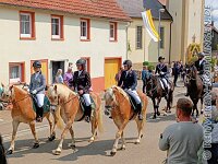 102 A KZW 013    © Daniela und Christian Bittner u.a.    Alle Inhalte auf diesen Webseiten sind urheberrechtlich geschützt. Kein Teil der hier abrufbaren Inhalte darf ohne ausdrückliche schriftliche Erlaubnis des Fotografen reproduziert, gedruckt, übersetzt, in digitaler Form weiterbearbeitet, in Archive übernommen oder Dritten unter einer fremden URL zugänglich gemacht werden.   Fotografen: AE .. A. Esdar, AH .. A. Helmle, CB .. Chr. Bittner, DB .. D. Bittner, LB .. L. Bittner, BB .. B. Boschatzke,   HZ .. H. Ziegelbauer, IM .. I. Maierhöfer, KH .. K. Hauber, LE .. L. Esdar, ME .. M. Esdar, MEr .. M. Erhard,   RM .. R. Maierhöfer, SD .. S. Demchuk, TS .. T. Spaag-Wagner, UL .. U. Ladenburger, JW .. J. Wecker, EB .. E. Boschatzke,   JA .. J. Abele, MW .. Maria Walter, MB .. Manuel Bühler, GG .. Georg Gösele, CBa .. Christoph Bayrle, KZW .. Kathrin Zwerger, PG .. Peter Gösele, CME .. Carmen Müller-Epacher, GB .. Gebhard Bühler, AL .. Alisha Ladenburger, SV .. Susanne Habel-Veit, LV .. Lukas Veit.