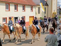 109 A KZW 020    © Daniela und Christian Bittner u.a.    Alle Inhalte auf diesen Webseiten sind urheberrechtlich geschützt. Kein Teil der hier abrufbaren Inhalte darf ohne ausdrückliche schriftliche Erlaubnis des Fotografen reproduziert, gedruckt, übersetzt, in digitaler Form weiterbearbeitet, in Archive übernommen oder Dritten unter einer fremden URL zugänglich gemacht werden.   Fotografen: AE .. A. Esdar, AH .. A. Helmle, CB .. Chr. Bittner, DB .. D. Bittner, LB .. L. Bittner, BB .. B. Boschatzke,   HZ .. H. Ziegelbauer, IM .. I. Maierhöfer, KH .. K. Hauber, LE .. L. Esdar, ME .. M. Esdar, MEr .. M. Erhard,   RM .. R. Maierhöfer, SD .. S. Demchuk, TS .. T. Spaag-Wagner, UL .. U. Ladenburger, JW .. J. Wecker, EB .. E. Boschatzke,   JA .. J. Abele, MW .. Maria Walter, MB .. Manuel Bühler, GG .. Georg Gösele, CBa .. Christoph Bayrle, KZW .. Kathrin Zwerger, PG .. Peter Gösele, CME .. Carmen Müller-Epacher, GB .. Gebhard Bühler, AL .. Alisha Ladenburger, SV .. Susanne Habel-Veit, LV .. Lukas Veit.