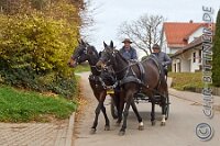 011 A DB 042    © Daniela und Christian Bittner u.a.    Alle Inhalte auf diesen Webseiten sind urheberrechtlich geschützt. Kein Teil der hier abrufbaren Inhalte darf ohne ausdrückliche schriftliche Erlaubnis des Fotografen reproduziert, gedruckt, übersetzt, in digitaler Form weiterbearbeitet, in Archive übernommen oder Dritten unter einer fremden URL zugänglich gemacht werden.   Fotografen: AE .. A. Esdar, AH .. A. Helmle, CB .. Chr. Bittner, DB .. D. Bittner, LB .. L. Bittner, BB .. B. Boschatzke,   HZ .. H. Ziegelbauer, IM .. I. Maierhöfer, KH .. K. Hauber, LE .. L. Esdar, ME .. M. Esdar, MEr .. M. Erhard,   RM .. R. Maierhöfer, SD .. S. Demchuk, TS .. T. Spaag-Wagner, UL .. U. Ladenburger, JW .. J. Wecker, EB .. E. Boschatzke,   JA .. J. Abele, MW .. Maria Walter, MB .. Manuel Bühler, GG .. Georg Gösele, CBa .. Christoph Bayrle, KZW .. Kathrin Zwerger, PG .. Peter Gösele, CME .. Carmen Müller-Epacher, GB .. Gebhard Bühler, AL .. Alisha Ladenburger, SV .. Susanne Habel-Veit, LV .. Lukas Veit.