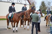 060 A DB 229    © Daniela und Christian Bittner u.a.    Alle Inhalte auf diesen Webseiten sind urheberrechtlich geschützt. Kein Teil der hier abrufbaren Inhalte darf ohne ausdrückliche schriftliche Erlaubnis des Fotografen reproduziert, gedruckt, übersetzt, in digitaler Form weiterbearbeitet, in Archive übernommen oder Dritten unter einer fremden URL zugänglich gemacht werden.   Fotografen: AE .. A. Esdar, AH .. A. Helmle, CB .. Chr. Bittner, DB .. D. Bittner, LB .. L. Bittner, BB .. B. Boschatzke,   HZ .. H. Ziegelbauer, IM .. I. Maierhöfer, KH .. K. Hauber, LE .. L. Esdar, ME .. M. Esdar, MEr .. M. Erhard,   RM .. R. Maierhöfer, SD .. S. Demchuk, TS .. T. Spaag-Wagner, UL .. U. Ladenburger, JW .. J. Wecker, EB .. E. Boschatzke,   JA .. J. Abele, MW .. Maria Walter, MB .. Manuel Bühler, GG .. Georg Gösele, CBa .. Christoph Bayrle, KZW .. Kathrin Zwerger, PG .. Peter Gösele, CME .. Carmen Müller-Epacher, GB .. Gebhard Bühler, AL .. Alisha Ladenburger, SV .. Susanne Habel-Veit, LV .. Lukas Veit.