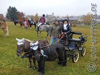 013 A AL 014    © Daniela und Christian Bittner u.a.    Alle Inhalte auf diesen Webseiten sind urheberrechtlich geschützt. Kein Teil der hier abrufbaren Inhalte darf ohne ausdrückliche schriftliche Erlaubnis des Fotografen reproduziert, gedruckt, übersetzt, in digitaler Form weiterbearbeitet, in Archive übernommen oder Dritten unter einer fremden URL zugänglich gemacht werden.   Fotografen: AE .. A. Esdar, AH .. A. Helmle, CB .. Chr. Bittner, DB .. D. Bittner, LB .. L. Bittner, BB .. B. Boschatzke,   HZ .. H. Ziegelbauer, IM .. I. Maierhöfer, KH .. K. Hauber, LE .. L. Esdar, ME .. M. Esdar, MEr .. M. Erhard,   RM .. R. Maierhöfer, SD .. S. Demchuk, TS .. T. Spaag-Wagner, UL .. U. Ladenburger, JW .. J. Wecker, EB .. E. Boschatzke,   JA .. J. Abele, MW .. Maria Walter, MB .. Manuel Bühler, GG .. Georg Gösele, CBa .. Christoph Bayrle, KZW .. Kathrin Zwerger, PG .. Peter Gösele, CME .. Carmen Müller-Epacher, GB .. Gebhard Bühler, AL .. Alisha Ladenburger, SV .. Susanne Habel-Veit, LV .. Lukas Veit.