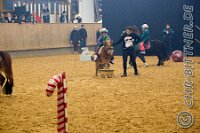 052 A LB 096    © Daniela und Christian Bittner u.a.    Alle Inhalte auf diesen Webseiten sind urheberrechtlich geschützt. Kein Teil der hier abrufbaren Inhalte darf ohne ausdrückliche schriftliche Erlaubnis des Fotografen reproduziert, gedruckt, übersetzt, in digitaler Form weiterbearbeitet, in Archive übernommen oder Dritten unter einer fremden URL zugänglich gemacht werden.   Fotografen: AE .. A. Esdar, AH .. A. Helmle, CB .. Chr. Bittner, DB .. D. Bittner, LB .. L. Bittner, BB .. B. Boschatzke,   HZ .. H. Ziegelbauer, IM .. I. Maierhöfer, KH .. K. Hauber, LE .. L. Esdar, ME .. M. Esdar, MEr .. M. Erhard,   RM .. R. Maierhöfer, SD .. S. Demchuk, TS .. T. Spaag-Wagner, UL .. U. Ladenburger, JW .. J. Wecker, EB .. E. Boschatzke,   JA .. J. Abele, MW .. Maria Walter, MB .. Manuel Bühler, GG .. Georg Gösele, CBa .. Christoph Bayrle, KZW .. Kathrin Zwerger, PG .. Peter Gösele, CME .. Carmen Müller-Epacher, GB .. Gebhard Bühler, AL .. Alisha Ladenburger, SV .. Susanne Habel-Veit, LV .. Lukas Veit.