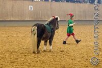 071 A LB 159    © Daniela und Christian Bittner u.a.    Alle Inhalte auf diesen Webseiten sind urheberrechtlich geschützt. Kein Teil der hier abrufbaren Inhalte darf ohne ausdrückliche schriftliche Erlaubnis des Fotografen reproduziert, gedruckt, übersetzt, in digitaler Form weiterbearbeitet, in Archive übernommen oder Dritten unter einer fremden URL zugänglich gemacht werden.   Fotografen: AE .. A. Esdar, AH .. A. Helmle, CB .. Chr. Bittner, DB .. D. Bittner, LB .. L. Bittner, BB .. B. Boschatzke,   HZ .. H. Ziegelbauer, IM .. I. Maierhöfer, KH .. K. Hauber, LE .. L. Esdar, ME .. M. Esdar, MEr .. M. Erhard,   RM .. R. Maierhöfer, SD .. S. Demchuk, TS .. T. Spaag-Wagner, UL .. U. Ladenburger, JW .. J. Wecker, EB .. E. Boschatzke,   JA .. J. Abele, MW .. Maria Walter, MB .. Manuel Bühler, GG .. Georg Gösele, CBa .. Christoph Bayrle, KZW .. Kathrin Zwerger, PG .. Peter Gösele, CME .. Carmen Müller-Epacher, GB .. Gebhard Bühler, AL .. Alisha Ladenburger, SV .. Susanne Habel-Veit, LV .. Lukas Veit.