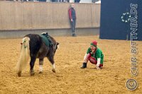 072 A LB 162    © Daniela und Christian Bittner u.a.    Alle Inhalte auf diesen Webseiten sind urheberrechtlich geschützt. Kein Teil der hier abrufbaren Inhalte darf ohne ausdrückliche schriftliche Erlaubnis des Fotografen reproduziert, gedruckt, übersetzt, in digitaler Form weiterbearbeitet, in Archive übernommen oder Dritten unter einer fremden URL zugänglich gemacht werden.   Fotografen: AE .. A. Esdar, AH .. A. Helmle, CB .. Chr. Bittner, DB .. D. Bittner, LB .. L. Bittner, BB .. B. Boschatzke,   HZ .. H. Ziegelbauer, IM .. I. Maierhöfer, KH .. K. Hauber, LE .. L. Esdar, ME .. M. Esdar, MEr .. M. Erhard,   RM .. R. Maierhöfer, SD .. S. Demchuk, TS .. T. Spaag-Wagner, UL .. U. Ladenburger, JW .. J. Wecker, EB .. E. Boschatzke,   JA .. J. Abele, MW .. Maria Walter, MB .. Manuel Bühler, GG .. Georg Gösele, CBa .. Christoph Bayrle, KZW .. Kathrin Zwerger, PG .. Peter Gösele, CME .. Carmen Müller-Epacher, GB .. Gebhard Bühler, AL .. Alisha Ladenburger, SV .. Susanne Habel-Veit, LV .. Lukas Veit.