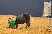 075 A LB 184    © Daniela und Christian Bittner u.a.    Alle Inhalte auf diesen Webseiten sind urheberrechtlich geschützt. Kein Teil der hier abrufbaren Inhalte darf ohne ausdrückliche schriftliche Erlaubnis des Fotografen reproduziert, gedruckt, übersetzt, in digitaler Form weiterbearbeitet, in Archive übernommen oder Dritten unter einer fremden URL zugänglich gemacht werden.   Fotografen: AE .. A. Esdar, AH .. A. Helmle, CB .. Chr. Bittner, DB .. D. Bittner, LB .. L. Bittner, BB .. B. Boschatzke,   HZ .. H. Ziegelbauer, IM .. I. Maierhöfer, KH .. K. Hauber, LE .. L. Esdar, ME .. M. Esdar, MEr .. M. Erhard,   RM .. R. Maierhöfer, SD .. S. Demchuk, TS .. T. Spaag-Wagner, UL .. U. Ladenburger, JW .. J. Wecker, EB .. E. Boschatzke,   JA .. J. Abele, MW .. Maria Walter, MB .. Manuel Bühler, GG .. Georg Gösele, CBa .. Christoph Bayrle, KZW .. Kathrin Zwerger, PG .. Peter Gösele, CME .. Carmen Müller-Epacher, GB .. Gebhard Bühler, AL .. Alisha Ladenburger, SV .. Susanne Habel-Veit, LV .. Lukas Veit.