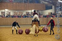 081 A CB 0061    © Daniela und Christian Bittner u.a.    Alle Inhalte auf diesen Webseiten sind urheberrechtlich geschützt. Kein Teil der hier abrufbaren Inhalte darf ohne ausdrückliche schriftliche Erlaubnis des Fotografen reproduziert, gedruckt, übersetzt, in digitaler Form weiterbearbeitet, in Archive übernommen oder Dritten unter einer fremden URL zugänglich gemacht werden.   Fotografen: AE .. A. Esdar, AH .. A. Helmle, CB .. Chr. Bittner, DB .. D. Bittner, LB .. L. Bittner, BB .. B. Boschatzke,   HZ .. H. Ziegelbauer, IM .. I. Maierhöfer, KH .. K. Hauber, LE .. L. Esdar, ME .. M. Esdar, MEr .. M. Erhard,   RM .. R. Maierhöfer, SD .. S. Demchuk, TS .. T. Spaag-Wagner, UL .. U. Ladenburger, JW .. J. Wecker, EB .. E. Boschatzke,   JA .. J. Abele, MW .. Maria Walter, MB .. Manuel Bühler, GG .. Georg Gösele, CBa .. Christoph Bayrle, KZW .. Kathrin Zwerger, PG .. Peter Gösele, CME .. Carmen Müller-Epacher, GB .. Gebhard Bühler, AL .. Alisha Ladenburger, SV .. Susanne Habel-Veit, LV .. Lukas Veit.