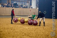 085 A LB 214    © Daniela und Christian Bittner u.a.    Alle Inhalte auf diesen Webseiten sind urheberrechtlich geschützt. Kein Teil der hier abrufbaren Inhalte darf ohne ausdrückliche schriftliche Erlaubnis des Fotografen reproduziert, gedruckt, übersetzt, in digitaler Form weiterbearbeitet, in Archive übernommen oder Dritten unter einer fremden URL zugänglich gemacht werden.   Fotografen: AE .. A. Esdar, AH .. A. Helmle, CB .. Chr. Bittner, DB .. D. Bittner, LB .. L. Bittner, BB .. B. Boschatzke,   HZ .. H. Ziegelbauer, IM .. I. Maierhöfer, KH .. K. Hauber, LE .. L. Esdar, ME .. M. Esdar, MEr .. M. Erhard,   RM .. R. Maierhöfer, SD .. S. Demchuk, TS .. T. Spaag-Wagner, UL .. U. Ladenburger, JW .. J. Wecker, EB .. E. Boschatzke,   JA .. J. Abele, MW .. Maria Walter, MB .. Manuel Bühler, GG .. Georg Gösele, CBa .. Christoph Bayrle, KZW .. Kathrin Zwerger, PG .. Peter Gösele, CME .. Carmen Müller-Epacher, GB .. Gebhard Bühler, AL .. Alisha Ladenburger, SV .. Susanne Habel-Veit, LV .. Lukas Veit.