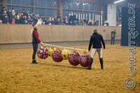 086 A LB 217    © Daniela und Christian Bittner u.a.    Alle Inhalte auf diesen Webseiten sind urheberrechtlich geschützt. Kein Teil der hier abrufbaren Inhalte darf ohne ausdrückliche schriftliche Erlaubnis des Fotografen reproduziert, gedruckt, übersetzt, in digitaler Form weiterbearbeitet, in Archive übernommen oder Dritten unter einer fremden URL zugänglich gemacht werden.   Fotografen: AE .. A. Esdar, AH .. A. Helmle, CB .. Chr. Bittner, DB .. D. Bittner, LB .. L. Bittner, BB .. B. Boschatzke,   HZ .. H. Ziegelbauer, IM .. I. Maierhöfer, KH .. K. Hauber, LE .. L. Esdar, ME .. M. Esdar, MEr .. M. Erhard,   RM .. R. Maierhöfer, SD .. S. Demchuk, TS .. T. Spaag-Wagner, UL .. U. Ladenburger, JW .. J. Wecker, EB .. E. Boschatzke,   JA .. J. Abele, MW .. Maria Walter, MB .. Manuel Bühler, GG .. Georg Gösele, CBa .. Christoph Bayrle, KZW .. Kathrin Zwerger, PG .. Peter Gösele, CME .. Carmen Müller-Epacher, GB .. Gebhard Bühler, AL .. Alisha Ladenburger, SV .. Susanne Habel-Veit, LV .. Lukas Veit.