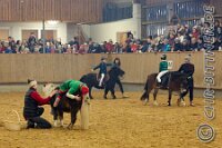 107 A CB 0092    © Daniela und Christian Bittner u.a.    Alle Inhalte auf diesen Webseiten sind urheberrechtlich geschützt. Kein Teil der hier abrufbaren Inhalte darf ohne ausdrückliche schriftliche Erlaubnis des Fotografen reproduziert, gedruckt, übersetzt, in digitaler Form weiterbearbeitet, in Archive übernommen oder Dritten unter einer fremden URL zugänglich gemacht werden.   Fotografen: AE .. A. Esdar, AH .. A. Helmle, CB .. Chr. Bittner, DB .. D. Bittner, LB .. L. Bittner, BB .. B. Boschatzke,   HZ .. H. Ziegelbauer, IM .. I. Maierhöfer, KH .. K. Hauber, LE .. L. Esdar, ME .. M. Esdar, MEr .. M. Erhard,   RM .. R. Maierhöfer, SD .. S. Demchuk, TS .. T. Spaag-Wagner, UL .. U. Ladenburger, JW .. J. Wecker, EB .. E. Boschatzke,   JA .. J. Abele, MW .. Maria Walter, MB .. Manuel Bühler, GG .. Georg Gösele, CBa .. Christoph Bayrle, KZW .. Kathrin Zwerger, PG .. Peter Gösele, CME .. Carmen Müller-Epacher, GB .. Gebhard Bühler, AL .. Alisha Ladenburger, SV .. Susanne Habel-Veit, LV .. Lukas Veit.