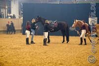 121 A LB 320    © Daniela und Christian Bittner u.a.    Alle Inhalte auf diesen Webseiten sind urheberrechtlich geschützt. Kein Teil der hier abrufbaren Inhalte darf ohne ausdrückliche schriftliche Erlaubnis des Fotografen reproduziert, gedruckt, übersetzt, in digitaler Form weiterbearbeitet, in Archive übernommen oder Dritten unter einer fremden URL zugänglich gemacht werden.   Fotografen: AE .. A. Esdar, AH .. A. Helmle, CB .. Chr. Bittner, DB .. D. Bittner, LB .. L. Bittner, BB .. B. Boschatzke,   HZ .. H. Ziegelbauer, IM .. I. Maierhöfer, KH .. K. Hauber, LE .. L. Esdar, ME .. M. Esdar, MEr .. M. Erhard,   RM .. R. Maierhöfer, SD .. S. Demchuk, TS .. T. Spaag-Wagner, UL .. U. Ladenburger, JW .. J. Wecker, EB .. E. Boschatzke,   JA .. J. Abele, MW .. Maria Walter, MB .. Manuel Bühler, GG .. Georg Gösele, CBa .. Christoph Bayrle, KZW .. Kathrin Zwerger, PG .. Peter Gösele, CME .. Carmen Müller-Epacher, GB .. Gebhard Bühler, AL .. Alisha Ladenburger, SV .. Susanne Habel-Veit, LV .. Lukas Veit.