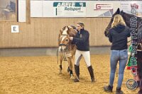 126 A CB 0108    © Daniela und Christian Bittner u.a.    Alle Inhalte auf diesen Webseiten sind urheberrechtlich geschützt. Kein Teil der hier abrufbaren Inhalte darf ohne ausdrückliche schriftliche Erlaubnis des Fotografen reproduziert, gedruckt, übersetzt, in digitaler Form weiterbearbeitet, in Archive übernommen oder Dritten unter einer fremden URL zugänglich gemacht werden.   Fotografen: AE .. A. Esdar, AH .. A. Helmle, CB .. Chr. Bittner, DB .. D. Bittner, LB .. L. Bittner, BB .. B. Boschatzke,   HZ .. H. Ziegelbauer, IM .. I. Maierhöfer, KH .. K. Hauber, LE .. L. Esdar, ME .. M. Esdar, MEr .. M. Erhard,   RM .. R. Maierhöfer, SD .. S. Demchuk, TS .. T. Spaag-Wagner, UL .. U. Ladenburger, JW .. J. Wecker, EB .. E. Boschatzke,   JA .. J. Abele, MW .. Maria Walter, MB .. Manuel Bühler, GG .. Georg Gösele, CBa .. Christoph Bayrle, KZW .. Kathrin Zwerger, PG .. Peter Gösele, CME .. Carmen Müller-Epacher, GB .. Gebhard Bühler, AL .. Alisha Ladenburger, SV .. Susanne Habel-Veit, LV .. Lukas Veit.