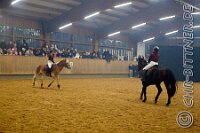 131 A LB 339    © Daniela und Christian Bittner u.a.    Alle Inhalte auf diesen Webseiten sind urheberrechtlich geschützt. Kein Teil der hier abrufbaren Inhalte darf ohne ausdrückliche schriftliche Erlaubnis des Fotografen reproduziert, gedruckt, übersetzt, in digitaler Form weiterbearbeitet, in Archive übernommen oder Dritten unter einer fremden URL zugänglich gemacht werden.   Fotografen: AE .. A. Esdar, AH .. A. Helmle, CB .. Chr. Bittner, DB .. D. Bittner, LB .. L. Bittner, BB .. B. Boschatzke,   HZ .. H. Ziegelbauer, IM .. I. Maierhöfer, KH .. K. Hauber, LE .. L. Esdar, ME .. M. Esdar, MEr .. M. Erhard,   RM .. R. Maierhöfer, SD .. S. Demchuk, TS .. T. Spaag-Wagner, UL .. U. Ladenburger, JW .. J. Wecker, EB .. E. Boschatzke,   JA .. J. Abele, MW .. Maria Walter, MB .. Manuel Bühler, GG .. Georg Gösele, CBa .. Christoph Bayrle, KZW .. Kathrin Zwerger, PG .. Peter Gösele, CME .. Carmen Müller-Epacher, GB .. Gebhard Bühler, AL .. Alisha Ladenburger, SV .. Susanne Habel-Veit, LV .. Lukas Veit.