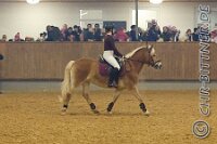 136 A CB 0127    © Daniela und Christian Bittner u.a.    Alle Inhalte auf diesen Webseiten sind urheberrechtlich geschützt. Kein Teil der hier abrufbaren Inhalte darf ohne ausdrückliche schriftliche Erlaubnis des Fotografen reproduziert, gedruckt, übersetzt, in digitaler Form weiterbearbeitet, in Archive übernommen oder Dritten unter einer fremden URL zugänglich gemacht werden.   Fotografen: AE .. A. Esdar, AH .. A. Helmle, CB .. Chr. Bittner, DB .. D. Bittner, LB .. L. Bittner, BB .. B. Boschatzke,   HZ .. H. Ziegelbauer, IM .. I. Maierhöfer, KH .. K. Hauber, LE .. L. Esdar, ME .. M. Esdar, MEr .. M. Erhard,   RM .. R. Maierhöfer, SD .. S. Demchuk, TS .. T. Spaag-Wagner, UL .. U. Ladenburger, JW .. J. Wecker, EB .. E. Boschatzke,   JA .. J. Abele, MW .. Maria Walter, MB .. Manuel Bühler, GG .. Georg Gösele, CBa .. Christoph Bayrle, KZW .. Kathrin Zwerger, PG .. Peter Gösele, CME .. Carmen Müller-Epacher, GB .. Gebhard Bühler, AL .. Alisha Ladenburger, SV .. Susanne Habel-Veit, LV .. Lukas Veit.