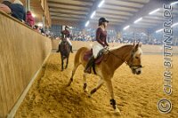 137 A LB 359    © Daniela und Christian Bittner u.a.    Alle Inhalte auf diesen Webseiten sind urheberrechtlich geschützt. Kein Teil der hier abrufbaren Inhalte darf ohne ausdrückliche schriftliche Erlaubnis des Fotografen reproduziert, gedruckt, übersetzt, in digitaler Form weiterbearbeitet, in Archive übernommen oder Dritten unter einer fremden URL zugänglich gemacht werden.   Fotografen: AE .. A. Esdar, AH .. A. Helmle, CB .. Chr. Bittner, DB .. D. Bittner, LB .. L. Bittner, BB .. B. Boschatzke,   HZ .. H. Ziegelbauer, IM .. I. Maierhöfer, KH .. K. Hauber, LE .. L. Esdar, ME .. M. Esdar, MEr .. M. Erhard,   RM .. R. Maierhöfer, SD .. S. Demchuk, TS .. T. Spaag-Wagner, UL .. U. Ladenburger, JW .. J. Wecker, EB .. E. Boschatzke,   JA .. J. Abele, MW .. Maria Walter, MB .. Manuel Bühler, GG .. Georg Gösele, CBa .. Christoph Bayrle, KZW .. Kathrin Zwerger, PG .. Peter Gösele, CME .. Carmen Müller-Epacher, GB .. Gebhard Bühler, AL .. Alisha Ladenburger, SV .. Susanne Habel-Veit, LV .. Lukas Veit.