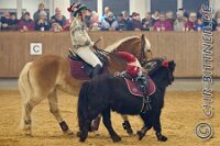 151 A CB 0175    © Daniela und Christian Bittner u.a.    Alle Inhalte auf diesen Webseiten sind urheberrechtlich geschützt. Kein Teil der hier abrufbaren Inhalte darf ohne ausdrückliche schriftliche Erlaubnis des Fotografen reproduziert, gedruckt, übersetzt, in digitaler Form weiterbearbeitet, in Archive übernommen oder Dritten unter einer fremden URL zugänglich gemacht werden.   Fotografen: AE .. A. Esdar, AH .. A. Helmle, CB .. Chr. Bittner, DB .. D. Bittner, LB .. L. Bittner, BB .. B. Boschatzke,   HZ .. H. Ziegelbauer, IM .. I. Maierhöfer, KH .. K. Hauber, LE .. L. Esdar, ME .. M. Esdar, MEr .. M. Erhard,   RM .. R. Maierhöfer, SD .. S. Demchuk, TS .. T. Spaag-Wagner, UL .. U. Ladenburger, JW .. J. Wecker, EB .. E. Boschatzke,   JA .. J. Abele, MW .. Maria Walter, MB .. Manuel Bühler, GG .. Georg Gösele, CBa .. Christoph Bayrle, KZW .. Kathrin Zwerger, PG .. Peter Gösele, CME .. Carmen Müller-Epacher, GB .. Gebhard Bühler, AL .. Alisha Ladenburger, SV .. Susanne Habel-Veit, LV .. Lukas Veit.