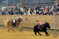 154 A CB 0180    © Daniela und Christian Bittner u.a.    Alle Inhalte auf diesen Webseiten sind urheberrechtlich geschützt. Kein Teil der hier abrufbaren Inhalte darf ohne ausdrückliche schriftliche Erlaubnis des Fotografen reproduziert, gedruckt, übersetzt, in digitaler Form weiterbearbeitet, in Archive übernommen oder Dritten unter einer fremden URL zugänglich gemacht werden.   Fotografen: AE .. A. Esdar, AH .. A. Helmle, CB .. Chr. Bittner, DB .. D. Bittner, LB .. L. Bittner, BB .. B. Boschatzke,   HZ .. H. Ziegelbauer, IM .. I. Maierhöfer, KH .. K. Hauber, LE .. L. Esdar, ME .. M. Esdar, MEr .. M. Erhard,   RM .. R. Maierhöfer, SD .. S. Demchuk, TS .. T. Spaag-Wagner, UL .. U. Ladenburger, JW .. J. Wecker, EB .. E. Boschatzke,   JA .. J. Abele, MW .. Maria Walter, MB .. Manuel Bühler, GG .. Georg Gösele, CBa .. Christoph Bayrle, KZW .. Kathrin Zwerger, PG .. Peter Gösele, CME .. Carmen Müller-Epacher, GB .. Gebhard Bühler, AL .. Alisha Ladenburger, SV .. Susanne Habel-Veit, LV .. Lukas Veit.