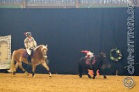 156 A LB 449    © Daniela und Christian Bittner u.a.    Alle Inhalte auf diesen Webseiten sind urheberrechtlich geschützt. Kein Teil der hier abrufbaren Inhalte darf ohne ausdrückliche schriftliche Erlaubnis des Fotografen reproduziert, gedruckt, übersetzt, in digitaler Form weiterbearbeitet, in Archive übernommen oder Dritten unter einer fremden URL zugänglich gemacht werden.   Fotografen: AE .. A. Esdar, AH .. A. Helmle, CB .. Chr. Bittner, DB .. D. Bittner, LB .. L. Bittner, BB .. B. Boschatzke,   HZ .. H. Ziegelbauer, IM .. I. Maierhöfer, KH .. K. Hauber, LE .. L. Esdar, ME .. M. Esdar, MEr .. M. Erhard,   RM .. R. Maierhöfer, SD .. S. Demchuk, TS .. T. Spaag-Wagner, UL .. U. Ladenburger, JW .. J. Wecker, EB .. E. Boschatzke,   JA .. J. Abele, MW .. Maria Walter, MB .. Manuel Bühler, GG .. Georg Gösele, CBa .. Christoph Bayrle, KZW .. Kathrin Zwerger, PG .. Peter Gösele, CME .. Carmen Müller-Epacher, GB .. Gebhard Bühler, AL .. Alisha Ladenburger, SV .. Susanne Habel-Veit, LV .. Lukas Veit.