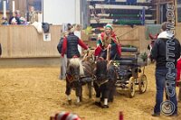 159 A CB 0192    © Daniela und Christian Bittner u.a.    Alle Inhalte auf diesen Webseiten sind urheberrechtlich geschützt. Kein Teil der hier abrufbaren Inhalte darf ohne ausdrückliche schriftliche Erlaubnis des Fotografen reproduziert, gedruckt, übersetzt, in digitaler Form weiterbearbeitet, in Archive übernommen oder Dritten unter einer fremden URL zugänglich gemacht werden.   Fotografen: AE .. A. Esdar, AH .. A. Helmle, CB .. Chr. Bittner, DB .. D. Bittner, LB .. L. Bittner, BB .. B. Boschatzke,   HZ .. H. Ziegelbauer, IM .. I. Maierhöfer, KH .. K. Hauber, LE .. L. Esdar, ME .. M. Esdar, MEr .. M. Erhard,   RM .. R. Maierhöfer, SD .. S. Demchuk, TS .. T. Spaag-Wagner, UL .. U. Ladenburger, JW .. J. Wecker, EB .. E. Boschatzke,   JA .. J. Abele, MW .. Maria Walter, MB .. Manuel Bühler, GG .. Georg Gösele, CBa .. Christoph Bayrle, KZW .. Kathrin Zwerger, PG .. Peter Gösele, CME .. Carmen Müller-Epacher, GB .. Gebhard Bühler, AL .. Alisha Ladenburger, SV .. Susanne Habel-Veit, LV .. Lukas Veit.