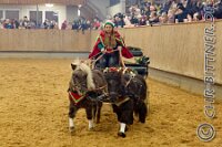 161 A CB 0197    © Daniela und Christian Bittner u.a.    Alle Inhalte auf diesen Webseiten sind urheberrechtlich geschützt. Kein Teil der hier abrufbaren Inhalte darf ohne ausdrückliche schriftliche Erlaubnis des Fotografen reproduziert, gedruckt, übersetzt, in digitaler Form weiterbearbeitet, in Archive übernommen oder Dritten unter einer fremden URL zugänglich gemacht werden.   Fotografen: AE .. A. Esdar, AH .. A. Helmle, CB .. Chr. Bittner, DB .. D. Bittner, LB .. L. Bittner, BB .. B. Boschatzke,   HZ .. H. Ziegelbauer, IM .. I. Maierhöfer, KH .. K. Hauber, LE .. L. Esdar, ME .. M. Esdar, MEr .. M. Erhard,   RM .. R. Maierhöfer, SD .. S. Demchuk, TS .. T. Spaag-Wagner, UL .. U. Ladenburger, JW .. J. Wecker, EB .. E. Boschatzke,   JA .. J. Abele, MW .. Maria Walter, MB .. Manuel Bühler, GG .. Georg Gösele, CBa .. Christoph Bayrle, KZW .. Kathrin Zwerger, PG .. Peter Gösele, CME .. Carmen Müller-Epacher, GB .. Gebhard Bühler, AL .. Alisha Ladenburger, SV .. Susanne Habel-Veit, LV .. Lukas Veit.