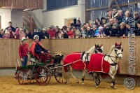 170 A CB 0202    © Daniela und Christian Bittner u.a.    Alle Inhalte auf diesen Webseiten sind urheberrechtlich geschützt. Kein Teil der hier abrufbaren Inhalte darf ohne ausdrückliche schriftliche Erlaubnis des Fotografen reproduziert, gedruckt, übersetzt, in digitaler Form weiterbearbeitet, in Archive übernommen oder Dritten unter einer fremden URL zugänglich gemacht werden.   Fotografen: AE .. A. Esdar, AH .. A. Helmle, CB .. Chr. Bittner, DB .. D. Bittner, LB .. L. Bittner, BB .. B. Boschatzke,   HZ .. H. Ziegelbauer, IM .. I. Maierhöfer, KH .. K. Hauber, LE .. L. Esdar, ME .. M. Esdar, MEr .. M. Erhard,   RM .. R. Maierhöfer, SD .. S. Demchuk, TS .. T. Spaag-Wagner, UL .. U. Ladenburger, JW .. J. Wecker, EB .. E. Boschatzke,   JA .. J. Abele, MW .. Maria Walter, MB .. Manuel Bühler, GG .. Georg Gösele, CBa .. Christoph Bayrle, KZW .. Kathrin Zwerger, PG .. Peter Gösele, CME .. Carmen Müller-Epacher, GB .. Gebhard Bühler, AL .. Alisha Ladenburger, SV .. Susanne Habel-Veit, LV .. Lukas Veit.