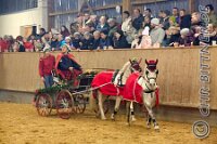 171 A CB 0203    © Daniela und Christian Bittner u.a.    Alle Inhalte auf diesen Webseiten sind urheberrechtlich geschützt. Kein Teil der hier abrufbaren Inhalte darf ohne ausdrückliche schriftliche Erlaubnis des Fotografen reproduziert, gedruckt, übersetzt, in digitaler Form weiterbearbeitet, in Archive übernommen oder Dritten unter einer fremden URL zugänglich gemacht werden.   Fotografen: AE .. A. Esdar, AH .. A. Helmle, CB .. Chr. Bittner, DB .. D. Bittner, LB .. L. Bittner, BB .. B. Boschatzke,   HZ .. H. Ziegelbauer, IM .. I. Maierhöfer, KH .. K. Hauber, LE .. L. Esdar, ME .. M. Esdar, MEr .. M. Erhard,   RM .. R. Maierhöfer, SD .. S. Demchuk, TS .. T. Spaag-Wagner, UL .. U. Ladenburger, JW .. J. Wecker, EB .. E. Boschatzke,   JA .. J. Abele, MW .. Maria Walter, MB .. Manuel Bühler, GG .. Georg Gösele, CBa .. Christoph Bayrle, KZW .. Kathrin Zwerger, PG .. Peter Gösele, CME .. Carmen Müller-Epacher, GB .. Gebhard Bühler, AL .. Alisha Ladenburger, SV .. Susanne Habel-Veit, LV .. Lukas Veit.