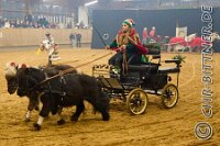 174 A LB 508    © Daniela und Christian Bittner u.a.    Alle Inhalte auf diesen Webseiten sind urheberrechtlich geschützt. Kein Teil der hier abrufbaren Inhalte darf ohne ausdrückliche schriftliche Erlaubnis des Fotografen reproduziert, gedruckt, übersetzt, in digitaler Form weiterbearbeitet, in Archive übernommen oder Dritten unter einer fremden URL zugänglich gemacht werden.   Fotografen: AE .. A. Esdar, AH .. A. Helmle, CB .. Chr. Bittner, DB .. D. Bittner, LB .. L. Bittner, BB .. B. Boschatzke,   HZ .. H. Ziegelbauer, IM .. I. Maierhöfer, KH .. K. Hauber, LE .. L. Esdar, ME .. M. Esdar, MEr .. M. Erhard,   RM .. R. Maierhöfer, SD .. S. Demchuk, TS .. T. Spaag-Wagner, UL .. U. Ladenburger, JW .. J. Wecker, EB .. E. Boschatzke,   JA .. J. Abele, MW .. Maria Walter, MB .. Manuel Bühler, GG .. Georg Gösele, CBa .. Christoph Bayrle, KZW .. Kathrin Zwerger, PG .. Peter Gösele, CME .. Carmen Müller-Epacher, GB .. Gebhard Bühler, AL .. Alisha Ladenburger, SV .. Susanne Habel-Veit, LV .. Lukas Veit.