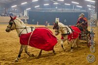 176 A LB 522    © Daniela und Christian Bittner u.a.    Alle Inhalte auf diesen Webseiten sind urheberrechtlich geschützt. Kein Teil der hier abrufbaren Inhalte darf ohne ausdrückliche schriftliche Erlaubnis des Fotografen reproduziert, gedruckt, übersetzt, in digitaler Form weiterbearbeitet, in Archive übernommen oder Dritten unter einer fremden URL zugänglich gemacht werden.   Fotografen: AE .. A. Esdar, AH .. A. Helmle, CB .. Chr. Bittner, DB .. D. Bittner, LB .. L. Bittner, BB .. B. Boschatzke,   HZ .. H. Ziegelbauer, IM .. I. Maierhöfer, KH .. K. Hauber, LE .. L. Esdar, ME .. M. Esdar, MEr .. M. Erhard,   RM .. R. Maierhöfer, SD .. S. Demchuk, TS .. T. Spaag-Wagner, UL .. U. Ladenburger, JW .. J. Wecker, EB .. E. Boschatzke,   JA .. J. Abele, MW .. Maria Walter, MB .. Manuel Bühler, GG .. Georg Gösele, CBa .. Christoph Bayrle, KZW .. Kathrin Zwerger, PG .. Peter Gösele, CME .. Carmen Müller-Epacher, GB .. Gebhard Bühler, AL .. Alisha Ladenburger, SV .. Susanne Habel-Veit, LV .. Lukas Veit.