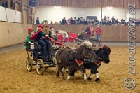 180 A CB 0219    © Daniela und Christian Bittner u.a.    Alle Inhalte auf diesen Webseiten sind urheberrechtlich geschützt. Kein Teil der hier abrufbaren Inhalte darf ohne ausdrückliche schriftliche Erlaubnis des Fotografen reproduziert, gedruckt, übersetzt, in digitaler Form weiterbearbeitet, in Archive übernommen oder Dritten unter einer fremden URL zugänglich gemacht werden.   Fotografen: AE .. A. Esdar, AH .. A. Helmle, CB .. Chr. Bittner, DB .. D. Bittner, LB .. L. Bittner, BB .. B. Boschatzke,   HZ .. H. Ziegelbauer, IM .. I. Maierhöfer, KH .. K. Hauber, LE .. L. Esdar, ME .. M. Esdar, MEr .. M. Erhard,   RM .. R. Maierhöfer, SD .. S. Demchuk, TS .. T. Spaag-Wagner, UL .. U. Ladenburger, JW .. J. Wecker, EB .. E. Boschatzke,   JA .. J. Abele, MW .. Maria Walter, MB .. Manuel Bühler, GG .. Georg Gösele, CBa .. Christoph Bayrle, KZW .. Kathrin Zwerger, PG .. Peter Gösele, CME .. Carmen Müller-Epacher, GB .. Gebhard Bühler, AL .. Alisha Ladenburger, SV .. Susanne Habel-Veit, LV .. Lukas Veit.