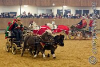 181 A CB 0221    © Daniela und Christian Bittner u.a.    Alle Inhalte auf diesen Webseiten sind urheberrechtlich geschützt. Kein Teil der hier abrufbaren Inhalte darf ohne ausdrückliche schriftliche Erlaubnis des Fotografen reproduziert, gedruckt, übersetzt, in digitaler Form weiterbearbeitet, in Archive übernommen oder Dritten unter einer fremden URL zugänglich gemacht werden.   Fotografen: AE .. A. Esdar, AH .. A. Helmle, CB .. Chr. Bittner, DB .. D. Bittner, LB .. L. Bittner, BB .. B. Boschatzke,   HZ .. H. Ziegelbauer, IM .. I. Maierhöfer, KH .. K. Hauber, LE .. L. Esdar, ME .. M. Esdar, MEr .. M. Erhard,   RM .. R. Maierhöfer, SD .. S. Demchuk, TS .. T. Spaag-Wagner, UL .. U. Ladenburger, JW .. J. Wecker, EB .. E. Boschatzke,   JA .. J. Abele, MW .. Maria Walter, MB .. Manuel Bühler, GG .. Georg Gösele, CBa .. Christoph Bayrle, KZW .. Kathrin Zwerger, PG .. Peter Gösele, CME .. Carmen Müller-Epacher, GB .. Gebhard Bühler, AL .. Alisha Ladenburger, SV .. Susanne Habel-Veit, LV .. Lukas Veit.