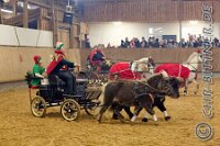 183 A CB 0227    © Daniela und Christian Bittner u.a.    Alle Inhalte auf diesen Webseiten sind urheberrechtlich geschützt. Kein Teil der hier abrufbaren Inhalte darf ohne ausdrückliche schriftliche Erlaubnis des Fotografen reproduziert, gedruckt, übersetzt, in digitaler Form weiterbearbeitet, in Archive übernommen oder Dritten unter einer fremden URL zugänglich gemacht werden.   Fotografen: AE .. A. Esdar, AH .. A. Helmle, CB .. Chr. Bittner, DB .. D. Bittner, LB .. L. Bittner, BB .. B. Boschatzke,   HZ .. H. Ziegelbauer, IM .. I. Maierhöfer, KH .. K. Hauber, LE .. L. Esdar, ME .. M. Esdar, MEr .. M. Erhard,   RM .. R. Maierhöfer, SD .. S. Demchuk, TS .. T. Spaag-Wagner, UL .. U. Ladenburger, JW .. J. Wecker, EB .. E. Boschatzke,   JA .. J. Abele, MW .. Maria Walter, MB .. Manuel Bühler, GG .. Georg Gösele, CBa .. Christoph Bayrle, KZW .. Kathrin Zwerger, PG .. Peter Gösele, CME .. Carmen Müller-Epacher, GB .. Gebhard Bühler, AL .. Alisha Ladenburger, SV .. Susanne Habel-Veit, LV .. Lukas Veit.