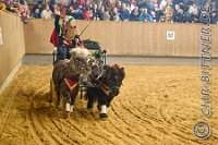 185 A LB 586    © Daniela und Christian Bittner u.a.    Alle Inhalte auf diesen Webseiten sind urheberrechtlich geschützt. Kein Teil der hier abrufbaren Inhalte darf ohne ausdrückliche schriftliche Erlaubnis des Fotografen reproduziert, gedruckt, übersetzt, in digitaler Form weiterbearbeitet, in Archive übernommen oder Dritten unter einer fremden URL zugänglich gemacht werden.   Fotografen: AE .. A. Esdar, AH .. A. Helmle, CB .. Chr. Bittner, DB .. D. Bittner, LB .. L. Bittner, BB .. B. Boschatzke,   HZ .. H. Ziegelbauer, IM .. I. Maierhöfer, KH .. K. Hauber, LE .. L. Esdar, ME .. M. Esdar, MEr .. M. Erhard,   RM .. R. Maierhöfer, SD .. S. Demchuk, TS .. T. Spaag-Wagner, UL .. U. Ladenburger, JW .. J. Wecker, EB .. E. Boschatzke,   JA .. J. Abele, MW .. Maria Walter, MB .. Manuel Bühler, GG .. Georg Gösele, CBa .. Christoph Bayrle, KZW .. Kathrin Zwerger, PG .. Peter Gösele, CME .. Carmen Müller-Epacher, GB .. Gebhard Bühler, AL .. Alisha Ladenburger, SV .. Susanne Habel-Veit, LV .. Lukas Veit.