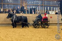 186 A CB 0245    © Daniela und Christian Bittner u.a.    Alle Inhalte auf diesen Webseiten sind urheberrechtlich geschützt. Kein Teil der hier abrufbaren Inhalte darf ohne ausdrückliche schriftliche Erlaubnis des Fotografen reproduziert, gedruckt, übersetzt, in digitaler Form weiterbearbeitet, in Archive übernommen oder Dritten unter einer fremden URL zugänglich gemacht werden.   Fotografen: AE .. A. Esdar, AH .. A. Helmle, CB .. Chr. Bittner, DB .. D. Bittner, LB .. L. Bittner, BB .. B. Boschatzke,   HZ .. H. Ziegelbauer, IM .. I. Maierhöfer, KH .. K. Hauber, LE .. L. Esdar, ME .. M. Esdar, MEr .. M. Erhard,   RM .. R. Maierhöfer, SD .. S. Demchuk, TS .. T. Spaag-Wagner, UL .. U. Ladenburger, JW .. J. Wecker, EB .. E. Boschatzke,   JA .. J. Abele, MW .. Maria Walter, MB .. Manuel Bühler, GG .. Georg Gösele, CBa .. Christoph Bayrle, KZW .. Kathrin Zwerger, PG .. Peter Gösele, CME .. Carmen Müller-Epacher, GB .. Gebhard Bühler, AL .. Alisha Ladenburger, SV .. Susanne Habel-Veit, LV .. Lukas Veit.