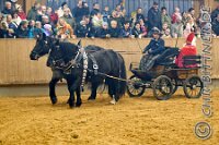 187 A LB 594    © Daniela und Christian Bittner u.a.    Alle Inhalte auf diesen Webseiten sind urheberrechtlich geschützt. Kein Teil der hier abrufbaren Inhalte darf ohne ausdrückliche schriftliche Erlaubnis des Fotografen reproduziert, gedruckt, übersetzt, in digitaler Form weiterbearbeitet, in Archive übernommen oder Dritten unter einer fremden URL zugänglich gemacht werden.   Fotografen: AE .. A. Esdar, AH .. A. Helmle, CB .. Chr. Bittner, DB .. D. Bittner, LB .. L. Bittner, BB .. B. Boschatzke,   HZ .. H. Ziegelbauer, IM .. I. Maierhöfer, KH .. K. Hauber, LE .. L. Esdar, ME .. M. Esdar, MEr .. M. Erhard,   RM .. R. Maierhöfer, SD .. S. Demchuk, TS .. T. Spaag-Wagner, UL .. U. Ladenburger, JW .. J. Wecker, EB .. E. Boschatzke,   JA .. J. Abele, MW .. Maria Walter, MB .. Manuel Bühler, GG .. Georg Gösele, CBa .. Christoph Bayrle, KZW .. Kathrin Zwerger, PG .. Peter Gösele, CME .. Carmen Müller-Epacher, GB .. Gebhard Bühler, AL .. Alisha Ladenburger, SV .. Susanne Habel-Veit, LV .. Lukas Veit.