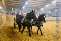 188 A LB 604    © Daniela und Christian Bittner u.a.    Alle Inhalte auf diesen Webseiten sind urheberrechtlich geschützt. Kein Teil der hier abrufbaren Inhalte darf ohne ausdrückliche schriftliche Erlaubnis des Fotografen reproduziert, gedruckt, übersetzt, in digitaler Form weiterbearbeitet, in Archive übernommen oder Dritten unter einer fremden URL zugänglich gemacht werden.   Fotografen: AE .. A. Esdar, AH .. A. Helmle, CB .. Chr. Bittner, DB .. D. Bittner, LB .. L. Bittner, BB .. B. Boschatzke,   HZ .. H. Ziegelbauer, IM .. I. Maierhöfer, KH .. K. Hauber, LE .. L. Esdar, ME .. M. Esdar, MEr .. M. Erhard,   RM .. R. Maierhöfer, SD .. S. Demchuk, TS .. T. Spaag-Wagner, UL .. U. Ladenburger, JW .. J. Wecker, EB .. E. Boschatzke,   JA .. J. Abele, MW .. Maria Walter, MB .. Manuel Bühler, GG .. Georg Gösele, CBa .. Christoph Bayrle, KZW .. Kathrin Zwerger, PG .. Peter Gösele, CME .. Carmen Müller-Epacher, GB .. Gebhard Bühler, AL .. Alisha Ladenburger, SV .. Susanne Habel-Veit, LV .. Lukas Veit.