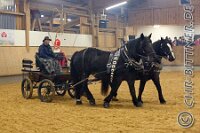 190 A CB 0251    © Daniela und Christian Bittner u.a.    Alle Inhalte auf diesen Webseiten sind urheberrechtlich geschützt. Kein Teil der hier abrufbaren Inhalte darf ohne ausdrückliche schriftliche Erlaubnis des Fotografen reproduziert, gedruckt, übersetzt, in digitaler Form weiterbearbeitet, in Archive übernommen oder Dritten unter einer fremden URL zugänglich gemacht werden.   Fotografen: AE .. A. Esdar, AH .. A. Helmle, CB .. Chr. Bittner, DB .. D. Bittner, LB .. L. Bittner, BB .. B. Boschatzke,   HZ .. H. Ziegelbauer, IM .. I. Maierhöfer, KH .. K. Hauber, LE .. L. Esdar, ME .. M. Esdar, MEr .. M. Erhard,   RM .. R. Maierhöfer, SD .. S. Demchuk, TS .. T. Spaag-Wagner, UL .. U. Ladenburger, JW .. J. Wecker, EB .. E. Boschatzke,   JA .. J. Abele, MW .. Maria Walter, MB .. Manuel Bühler, GG .. Georg Gösele, CBa .. Christoph Bayrle, KZW .. Kathrin Zwerger, PG .. Peter Gösele, CME .. Carmen Müller-Epacher, GB .. Gebhard Bühler, AL .. Alisha Ladenburger, SV .. Susanne Habel-Veit, LV .. Lukas Veit.