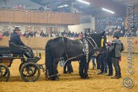 206 A LB 634    © Daniela und Christian Bittner u.a.    Alle Inhalte auf diesen Webseiten sind urheberrechtlich geschützt. Kein Teil der hier abrufbaren Inhalte darf ohne ausdrückliche schriftliche Erlaubnis des Fotografen reproduziert, gedruckt, übersetzt, in digitaler Form weiterbearbeitet, in Archive übernommen oder Dritten unter einer fremden URL zugänglich gemacht werden.   Fotografen: AE .. A. Esdar, AH .. A. Helmle, CB .. Chr. Bittner, DB .. D. Bittner, LB .. L. Bittner, BB .. B. Boschatzke,   HZ .. H. Ziegelbauer, IM .. I. Maierhöfer, KH .. K. Hauber, LE .. L. Esdar, ME .. M. Esdar, MEr .. M. Erhard,   RM .. R. Maierhöfer, SD .. S. Demchuk, TS .. T. Spaag-Wagner, UL .. U. Ladenburger, JW .. J. Wecker, EB .. E. Boschatzke,   JA .. J. Abele, MW .. Maria Walter, MB .. Manuel Bühler, GG .. Georg Gösele, CBa .. Christoph Bayrle, KZW .. Kathrin Zwerger, PG .. Peter Gösele, CME .. Carmen Müller-Epacher, GB .. Gebhard Bühler, AL .. Alisha Ladenburger, SV .. Susanne Habel-Veit, LV .. Lukas Veit.