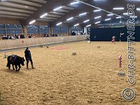 208 IMG 5650    © Daniela und Christian Bittner u.a.    Alle Inhalte auf diesen Webseiten sind urheberrechtlich geschützt. Kein Teil der hier abrufbaren Inhalte darf ohne ausdrückliche schriftliche Erlaubnis des Fotografen reproduziert, gedruckt, übersetzt, in digitaler Form weiterbearbeitet, in Archive übernommen oder Dritten unter einer fremden URL zugänglich gemacht werden.   Fotografen: AE .. A. Esdar, AH .. A. Helmle, CB .. Chr. Bittner, DB .. D. Bittner, LB .. L. Bittner, BB .. B. Boschatzke,   HZ .. H. Ziegelbauer, IM .. I. Maierhöfer, KH .. K. Hauber, LE .. L. Esdar, ME .. M. Esdar, MEr .. M. Erhard,   RM .. R. Maierhöfer, SD .. S. Demchuk, TS .. T. Spaag-Wagner, UL .. U. Ladenburger, JW .. J. Wecker, EB .. E. Boschatzke,   JA .. J. Abele, MW .. Maria Walter, MB .. Manuel Bühler, GG .. Georg Gösele, CBa .. Christoph Bayrle, KZW .. Kathrin Zwerger, PG .. Peter Gösele, CME .. Carmen Müller-Epacher, GB .. Gebhard Bühler, AL .. Alisha Ladenburger, SV .. Susanne Habel-Veit, LV .. Lukas Veit.