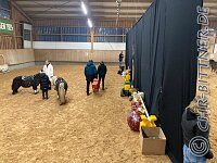 214 IMG 5673    © Daniela und Christian Bittner u.a.    Alle Inhalte auf diesen Webseiten sind urheberrechtlich geschützt. Kein Teil der hier abrufbaren Inhalte darf ohne ausdrückliche schriftliche Erlaubnis des Fotografen reproduziert, gedruckt, übersetzt, in digitaler Form weiterbearbeitet, in Archive übernommen oder Dritten unter einer fremden URL zugänglich gemacht werden.   Fotografen: AE .. A. Esdar, AH .. A. Helmle, CB .. Chr. Bittner, DB .. D. Bittner, LB .. L. Bittner, BB .. B. Boschatzke,   HZ .. H. Ziegelbauer, IM .. I. Maierhöfer, KH .. K. Hauber, LE .. L. Esdar, ME .. M. Esdar, MEr .. M. Erhard,   RM .. R. Maierhöfer, SD .. S. Demchuk, TS .. T. Spaag-Wagner, UL .. U. Ladenburger, JW .. J. Wecker, EB .. E. Boschatzke,   JA .. J. Abele, MW .. Maria Walter, MB .. Manuel Bühler, GG .. Georg Gösele, CBa .. Christoph Bayrle, KZW .. Kathrin Zwerger, PG .. Peter Gösele, CME .. Carmen Müller-Epacher, GB .. Gebhard Bühler, AL .. Alisha Ladenburger, SV .. Susanne Habel-Veit, LV .. Lukas Veit.