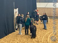 223 IMG 5708    © Daniela und Christian Bittner u.a.    Alle Inhalte auf diesen Webseiten sind urheberrechtlich geschützt. Kein Teil der hier abrufbaren Inhalte darf ohne ausdrückliche schriftliche Erlaubnis des Fotografen reproduziert, gedruckt, übersetzt, in digitaler Form weiterbearbeitet, in Archive übernommen oder Dritten unter einer fremden URL zugänglich gemacht werden.   Fotografen: AE .. A. Esdar, AH .. A. Helmle, CB .. Chr. Bittner, DB .. D. Bittner, LB .. L. Bittner, BB .. B. Boschatzke,   HZ .. H. Ziegelbauer, IM .. I. Maierhöfer, KH .. K. Hauber, LE .. L. Esdar, ME .. M. Esdar, MEr .. M. Erhard,   RM .. R. Maierhöfer, SD .. S. Demchuk, TS .. T. Spaag-Wagner, UL .. U. Ladenburger, JW .. J. Wecker, EB .. E. Boschatzke,   JA .. J. Abele, MW .. Maria Walter, MB .. Manuel Bühler, GG .. Georg Gösele, CBa .. Christoph Bayrle, KZW .. Kathrin Zwerger, PG .. Peter Gösele, CME .. Carmen Müller-Epacher, GB .. Gebhard Bühler, AL .. Alisha Ladenburger, SV .. Susanne Habel-Veit, LV .. Lukas Veit.