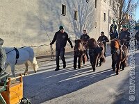 019 A KF 026    © Daniela und Christian Bittner u.a.    Alle Inhalte auf diesen Webseiten sind urheberrechtlich geschützt. Kein Teil der hier abrufbaren Inhalte darf ohne ausdrückliche schriftliche Erlaubnis des Fotografen reproduziert, gedruckt, übersetzt, in digitaler Form weiterbearbeitet, in Archive übernommen oder Dritten unter einer fremden URL zugänglich gemacht werden.   Fotografen: AE .. A. Esdar, AH .. A. Helmle, CB .. Chr. Bittner, DB .. D. Bittner, LB .. L. Bittner, BB .. B. Boschatzke,   HZ .. H. Ziegelbauer, IM .. I. Maierhöfer, KH .. K. Hauber, LE .. L. Esdar, ME .. M. Esdar, MEr .. M. Erhard,   RM .. R. Maierhöfer, SD .. S. Demchuk, TS .. T. Spaag-Wagner, UL .. U. Ladenburger, JW .. J. Wecker, EB .. E. Boschatzke,   JA .. J. Abele, MW .. Maria Walter, MB .. Manuel Bühler, GG .. Georg Gösele, CBa .. Christoph Bayrle, KZW .. Kathrin Zwerger, PG .. Peter Gösele, CME .. Carmen Müller-Epacher, GB .. Gebhard Bühler, AL .. Alisha Ladenburger, SV .. Susanne Habel-Veit, LV .. Lukas Veit, KF .. Kristin Friz.