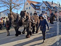 020 A KF 028    © Daniela und Christian Bittner u.a.    Alle Inhalte auf diesen Webseiten sind urheberrechtlich geschützt. Kein Teil der hier abrufbaren Inhalte darf ohne ausdrückliche schriftliche Erlaubnis des Fotografen reproduziert, gedruckt, übersetzt, in digitaler Form weiterbearbeitet, in Archive übernommen oder Dritten unter einer fremden URL zugänglich gemacht werden.   Fotografen: AE .. A. Esdar, AH .. A. Helmle, CB .. Chr. Bittner, DB .. D. Bittner, LB .. L. Bittner, BB .. B. Boschatzke,   HZ .. H. Ziegelbauer, IM .. I. Maierhöfer, KH .. K. Hauber, LE .. L. Esdar, ME .. M. Esdar, MEr .. M. Erhard,   RM .. R. Maierhöfer, SD .. S. Demchuk, TS .. T. Spaag-Wagner, UL .. U. Ladenburger, JW .. J. Wecker, EB .. E. Boschatzke,   JA .. J. Abele, MW .. Maria Walter, MB .. Manuel Bühler, GG .. Georg Gösele, CBa .. Christoph Bayrle, KZW .. Kathrin Zwerger, PG .. Peter Gösele, CME .. Carmen Müller-Epacher, GB .. Gebhard Bühler, AL .. Alisha Ladenburger, SV .. Susanne Habel-Veit, LV .. Lukas Veit, KF .. Kristin Friz.