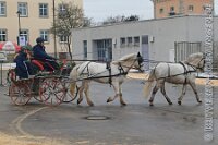 003 A KA 006    © Daniela und Christian Bittner u.a.    Alle Inhalte auf diesen Webseiten sind urheberrechtlich geschützt. Kein Teil der hier abrufbaren Inhalte darf ohne ausdrückliche schriftliche Erlaubnis des Fotografen reproduziert, gedruckt, übersetzt, in digitaler Form weiterbearbeitet, in Archive übernommen oder Dritten unter einer fremden URL zugänglich gemacht werden.   Fotografen: AE .. A. Esdar, AH .. A. Helmle, CB .. Chr. Bittner, DB .. D. Bittner, LB .. L. Bittner, BB .. B. Boschatzke,   HZ .. H. Ziegelbauer, IM .. I. Maierhöfer, KH .. K. Hauber, LE .. L. Esdar, ME .. M. Esdar, MEr .. M. Erhard,   RM .. R. Maierhöfer, SD .. S. Demchuk, TS .. T. Spaag-Wagner, UL .. U. Ladenburger, JW .. J. Wecker, EB .. E. Boschatzke,   JA .. J. Abele, MW .. Maria Walter, MB .. Manuel Bühler, GG .. Georg Gösele, CBa .. Christoph Bayrle, KZW .. Kathrin Zwerger, PG .. Peter Gösele, CME .. Carmen Müller-Epacher, GB .. Gebhard Bühler, AL .. Alisha Ladenburger, SV .. Susanne Habel-Veit, LV .. Lukas Veit, KF .. Kristin Friz.