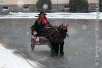 004 A ME 001    © Daniela und Christian Bittner u.a.    Alle Inhalte auf diesen Webseiten sind urheberrechtlich geschützt. Kein Teil der hier abrufbaren Inhalte darf ohne ausdrückliche schriftliche Erlaubnis des Fotografen reproduziert, gedruckt, übersetzt, in digitaler Form weiterbearbeitet, in Archive übernommen oder Dritten unter einer fremden URL zugänglich gemacht werden.   Fotografen: AE .. A. Esdar, AH .. A. Helmle, CB .. Chr. Bittner, DB .. D. Bittner, LB .. L. Bittner, BB .. B. Boschatzke,   HZ .. H. Ziegelbauer, IM .. I. Maierhöfer, KH .. K. Hauber, LE .. L. Esdar, ME .. M. Esdar, MEr .. M. Erhard,   RM .. R. Maierhöfer, SD .. S. Demchuk, TS .. T. Spaag-Wagner, UL .. U. Ladenburger, JW .. J. Wecker, EB .. E. Boschatzke,   JA .. J. Abele, MW .. Maria Walter, MB .. Manuel Bühler, GG .. Georg Gösele, CBa .. Christoph Bayrle, KZW .. Kathrin Zwerger, PG .. Peter Gösele, CME .. Carmen Müller-Epacher, GB .. Gebhard Bühler, AL .. Alisha Ladenburger, SV .. Susanne Habel-Veit, LV .. Lukas Veit, KF .. Kristin Friz.