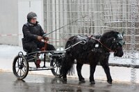 006 A ME 006    © Daniela und Christian Bittner u.a.    Alle Inhalte auf diesen Webseiten sind urheberrechtlich geschützt. Kein Teil der hier abrufbaren Inhalte darf ohne ausdrückliche schriftliche Erlaubnis des Fotografen reproduziert, gedruckt, übersetzt, in digitaler Form weiterbearbeitet, in Archive übernommen oder Dritten unter einer fremden URL zugänglich gemacht werden.   Fotografen: AE .. A. Esdar, AH .. A. Helmle, CB .. Chr. Bittner, DB .. D. Bittner, LB .. L. Bittner, BB .. B. Boschatzke,   HZ .. H. Ziegelbauer, IM .. I. Maierhöfer, KH .. K. Hauber, LE .. L. Esdar, ME .. M. Esdar, MEr .. M. Erhard,   RM .. R. Maierhöfer, SD .. S. Demchuk, TS .. T. Spaag-Wagner, UL .. U. Ladenburger, JW .. J. Wecker, EB .. E. Boschatzke,   JA .. J. Abele, MW .. Maria Walter, MB .. Manuel Bühler, GG .. Georg Gösele, CBa .. Christoph Bayrle, KZW .. Kathrin Zwerger, PG .. Peter Gösele, CME .. Carmen Müller-Epacher, GB .. Gebhard Bühler, AL .. Alisha Ladenburger, SV .. Susanne Habel-Veit, LV .. Lukas Veit, KF .. Kristin Friz.