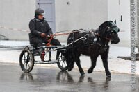 007 A ME 009    © Daniela und Christian Bittner u.a.    Alle Inhalte auf diesen Webseiten sind urheberrechtlich geschützt. Kein Teil der hier abrufbaren Inhalte darf ohne ausdrückliche schriftliche Erlaubnis des Fotografen reproduziert, gedruckt, übersetzt, in digitaler Form weiterbearbeitet, in Archive übernommen oder Dritten unter einer fremden URL zugänglich gemacht werden.   Fotografen: AE .. A. Esdar, AH .. A. Helmle, CB .. Chr. Bittner, DB .. D. Bittner, LB .. L. Bittner, BB .. B. Boschatzke,   HZ .. H. Ziegelbauer, IM .. I. Maierhöfer, KH .. K. Hauber, LE .. L. Esdar, ME .. M. Esdar, MEr .. M. Erhard,   RM .. R. Maierhöfer, SD .. S. Demchuk, TS .. T. Spaag-Wagner, UL .. U. Ladenburger, JW .. J. Wecker, EB .. E. Boschatzke,   JA .. J. Abele, MW .. Maria Walter, MB .. Manuel Bühler, GG .. Georg Gösele, CBa .. Christoph Bayrle, KZW .. Kathrin Zwerger, PG .. Peter Gösele, CME .. Carmen Müller-Epacher, GB .. Gebhard Bühler, AL .. Alisha Ladenburger, SV .. Susanne Habel-Veit, LV .. Lukas Veit, KF .. Kristin Friz.